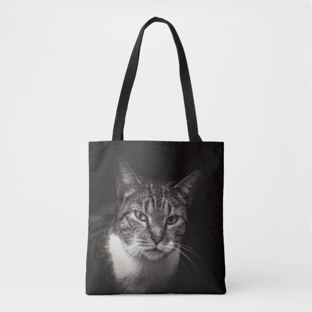 SILVER TABBY KATT TYGKASSE (Framsida)