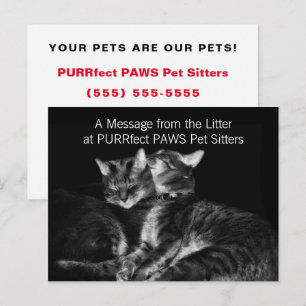 Silver Tabby Katter Pet Sitter Handout Affär Vykort