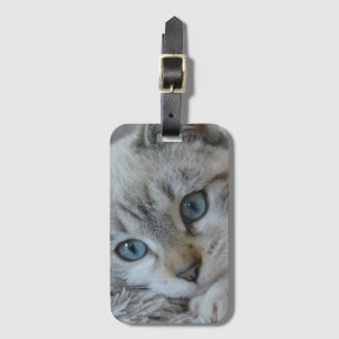 Silver Tabby Siamese Bagagebricka
