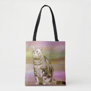 Silver Tabby Tygkasse