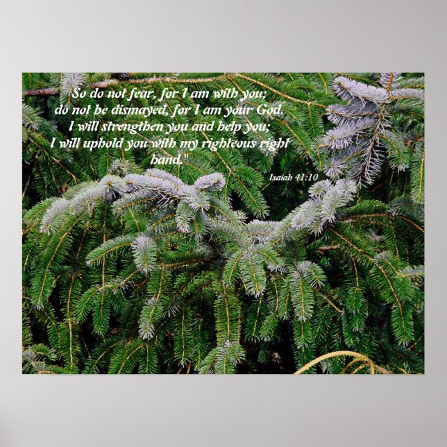 Silver Tip Fir Träd Isaiah 41:10 Skriv ut Poster (Framsidan)