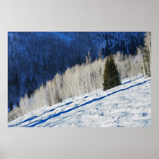Silver Träd Poster