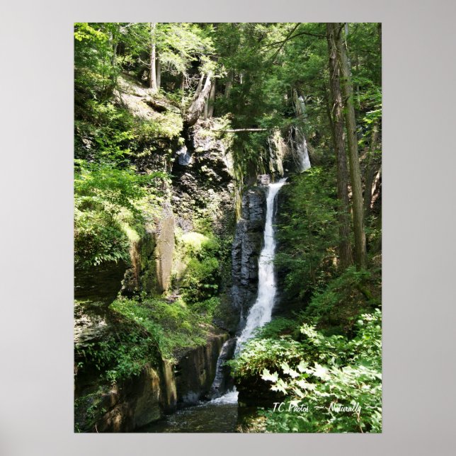 Silver-trådsfack Poster (Framsidan)