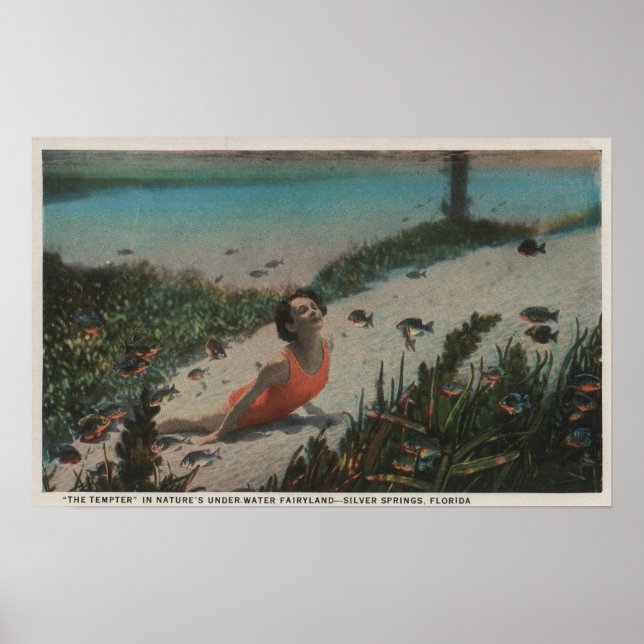 Silver Vår, FL - Woman Swimming Underwater Poster (Framsidan)