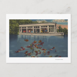 Silver Vår, Florida - Riverboat & & Vykort