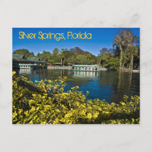 Silver Vår Nature Theme Park, Florida, USA Vykort