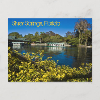 Silver Vår Nature Theme Park, Florida, USA Vykort
