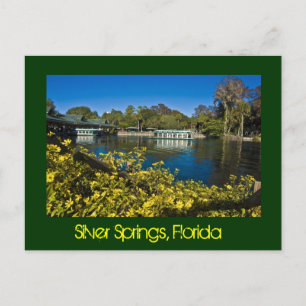 Silver Vår Nature Theme Park, Florida, USA Vykort