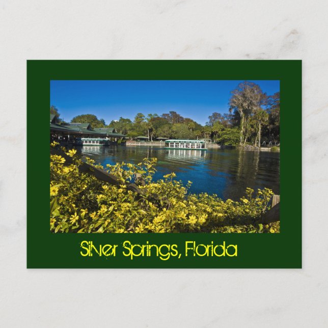Silver Vår Nature Theme Park, Florida, USA Vykort (Framsida)