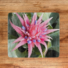 Silver Vas Plant Bloom Blommigt