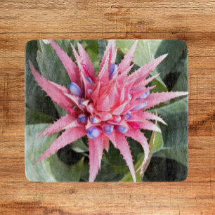 Silver Vas Plant Bloom Blommigt