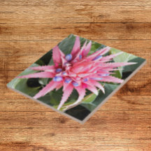 Silver Vas Plant Bloom Blommigt