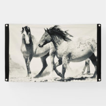 SILVER VILD HORSES OF UTAH WALL ART Banner