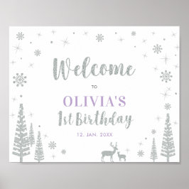 Silver Winter Girl 1st Birthday Party Välkomstskyl Poster