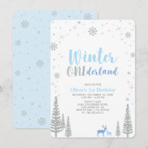 Silver Winter onederland pojke 1:a födelsedagen pa