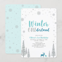 Silver Winter onederland pojke 1:a födelsedagen pa