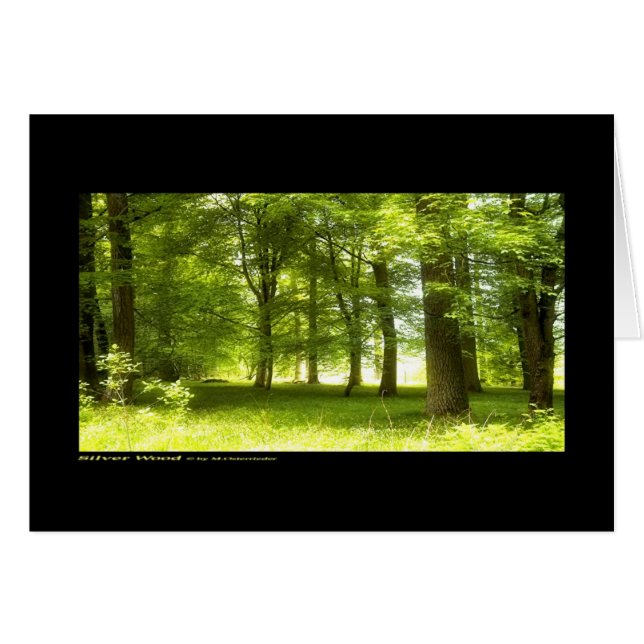 Silver Wood (kort) Hälsningskort (Framsidan Horizontal)