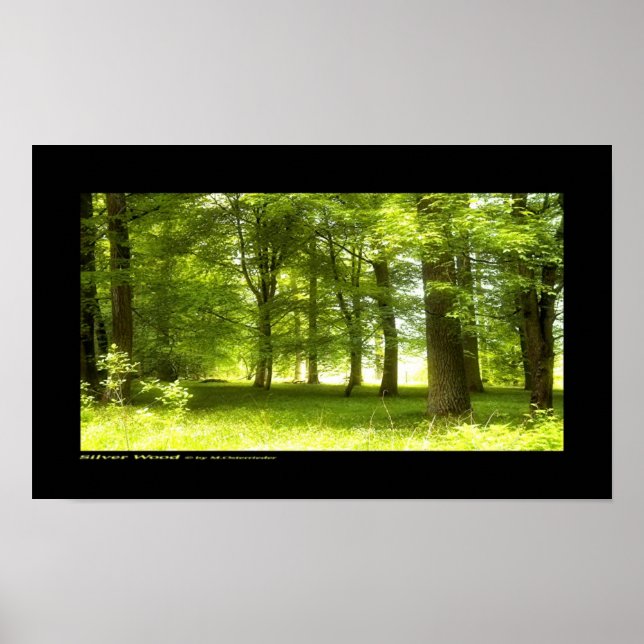 Silver Wood Poster (Framsidan)