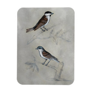 Silverad bion En del fåglar Magnet