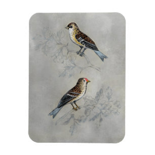 Silverad bion Två fåglar Magnet
