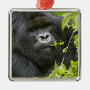 Silverback-berggorilla Julgransprydnad Metall