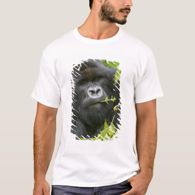Silverback-berggorilla Tee Shirt (Framsida)