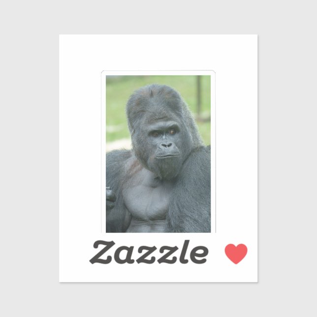 Silverback Dishi Klistermärken (Ark)