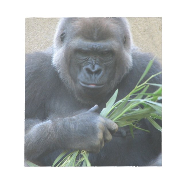 Silverback Gorilla Anteckningsblock (Framsida)
