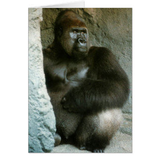 Silverback Gorilla Card Hälsningskort