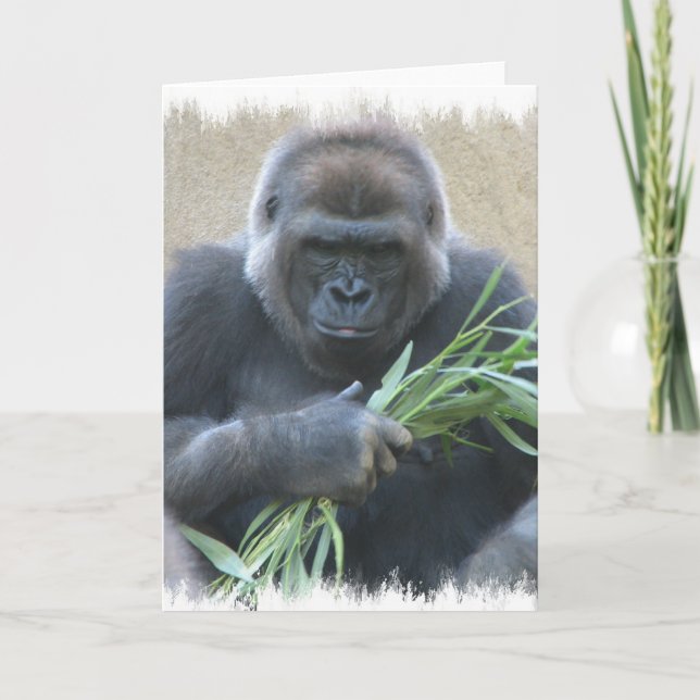 Silverback Gorilla Greeting Card Kort (Framsida)
