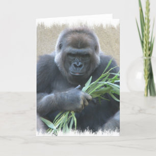 Silverback Gorilla Greeting Card Kort