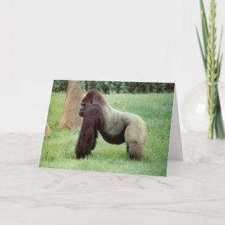 Silverback Gorilla Greeting Card Kort