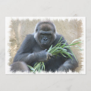 Silverback Gorilla-inbjudan Inbjudningar