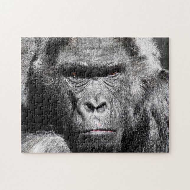Silverback Gorilla: Kryp inte mig, Jigszawa Puzzle Pussel (Horisontell)