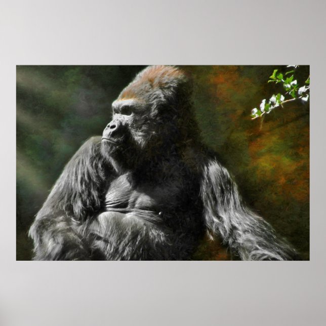 SILVERBACK GORILLA LEADER POSTER (Framsidan)
