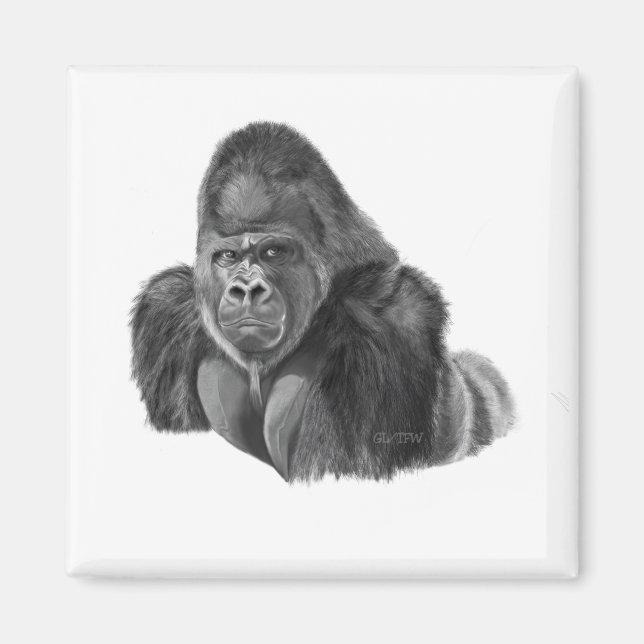 Silverback Gorilla Magnet ゴリラのマグネット (Framsidan)