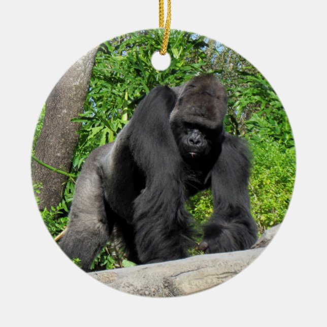 Silverback Gorilla Ornament (Framsidan)