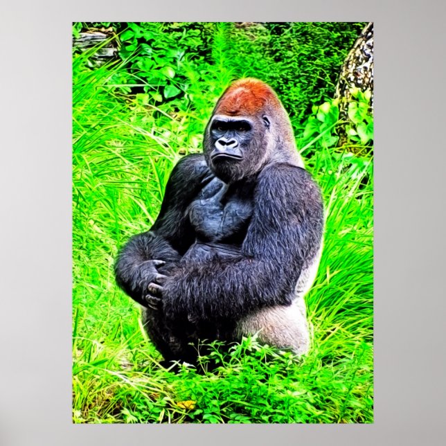 Silverback Gorilla Photo Painting Poster (Framsidan)