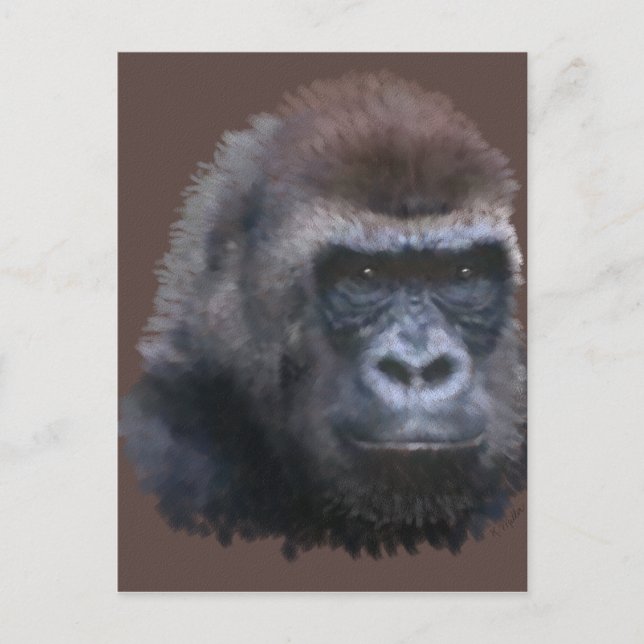 Silverback Gorilla Vykort (Framsida)