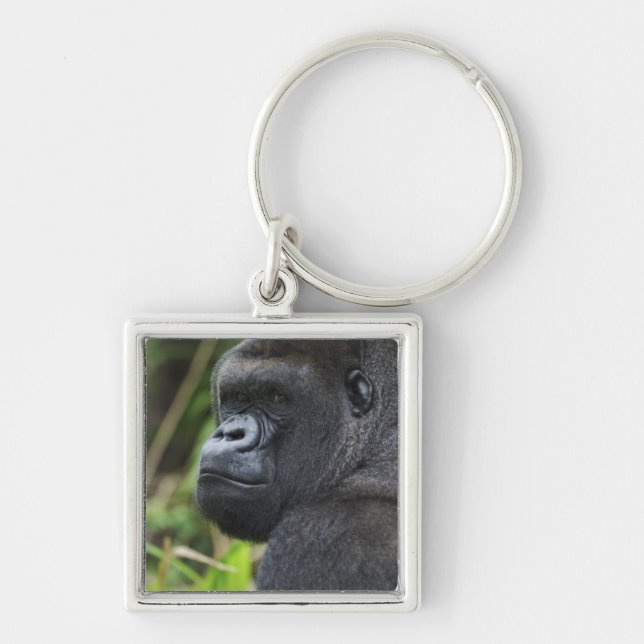 Silverback Låglands Gorilla, Gorilla I Fångenskap Fyrkantig Silverfärgad Nyckelring (Framsidan)