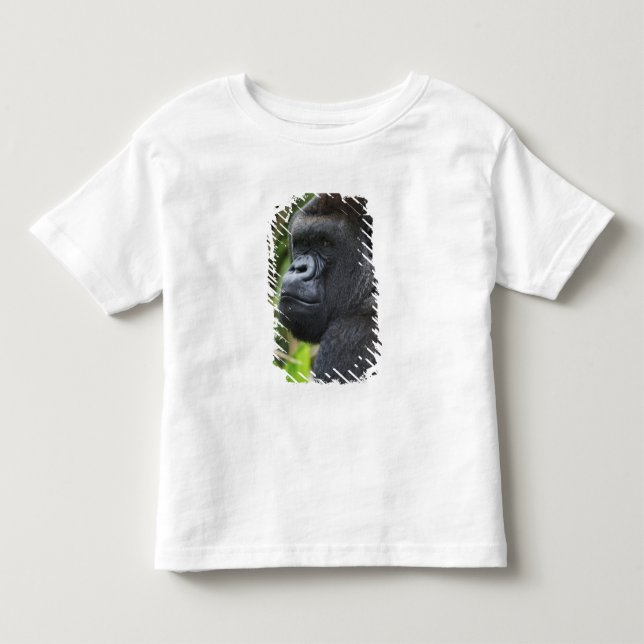 Silverback Låglands Gorilla, Gorilla I Fångenskap Tee Shirt (Framsida)