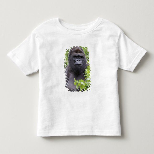Silverback låglandsgorilla, Gorilla gorilla, T Shirt (Framsida)