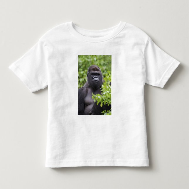 Silverback Låglandsgorilla, Gorilla gorilla, T Shirt (Framsida)