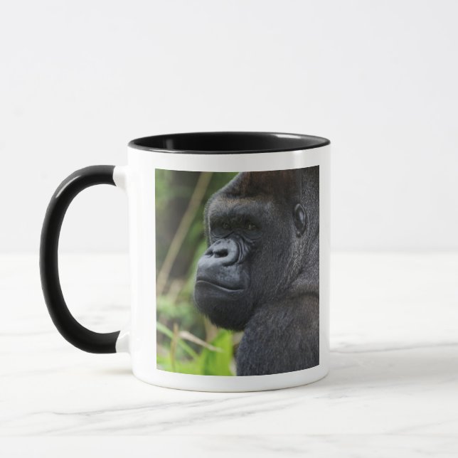 Silverback Lowland Gorilla, Gorilla Captive Mugg (Vänster)