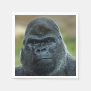 Silverback Pappersservett