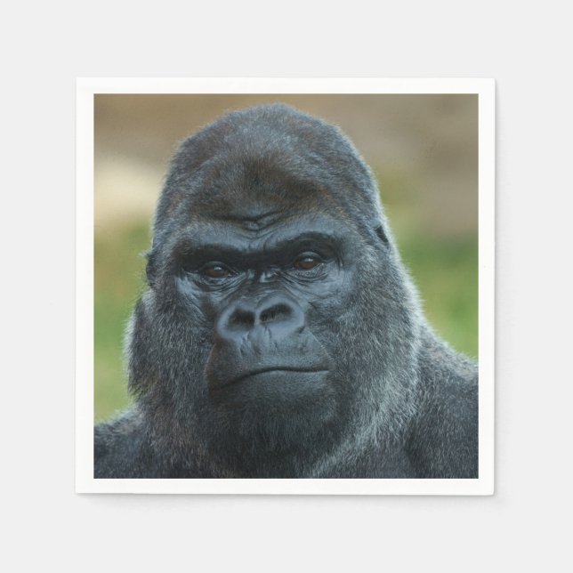 Silverback Pappersservett (Framsidan)