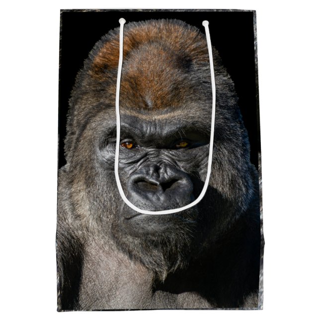 Silverback-styrka – Gorilla-porträtt (Baksidan)