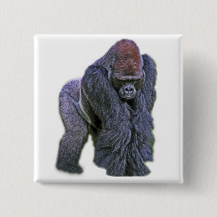 Silverbackgorilla, vitbaksida (g2p2) knapp