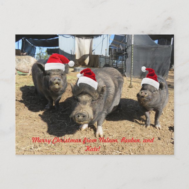 Silverbells julkort! helg vykort (Framsida)