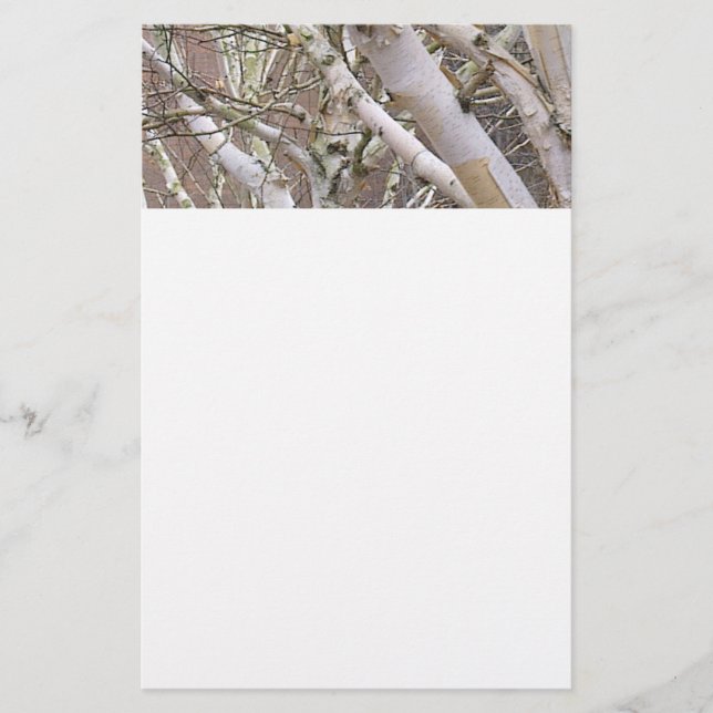 Silverbjörkbrevpapper Brevpapper (Framsida)